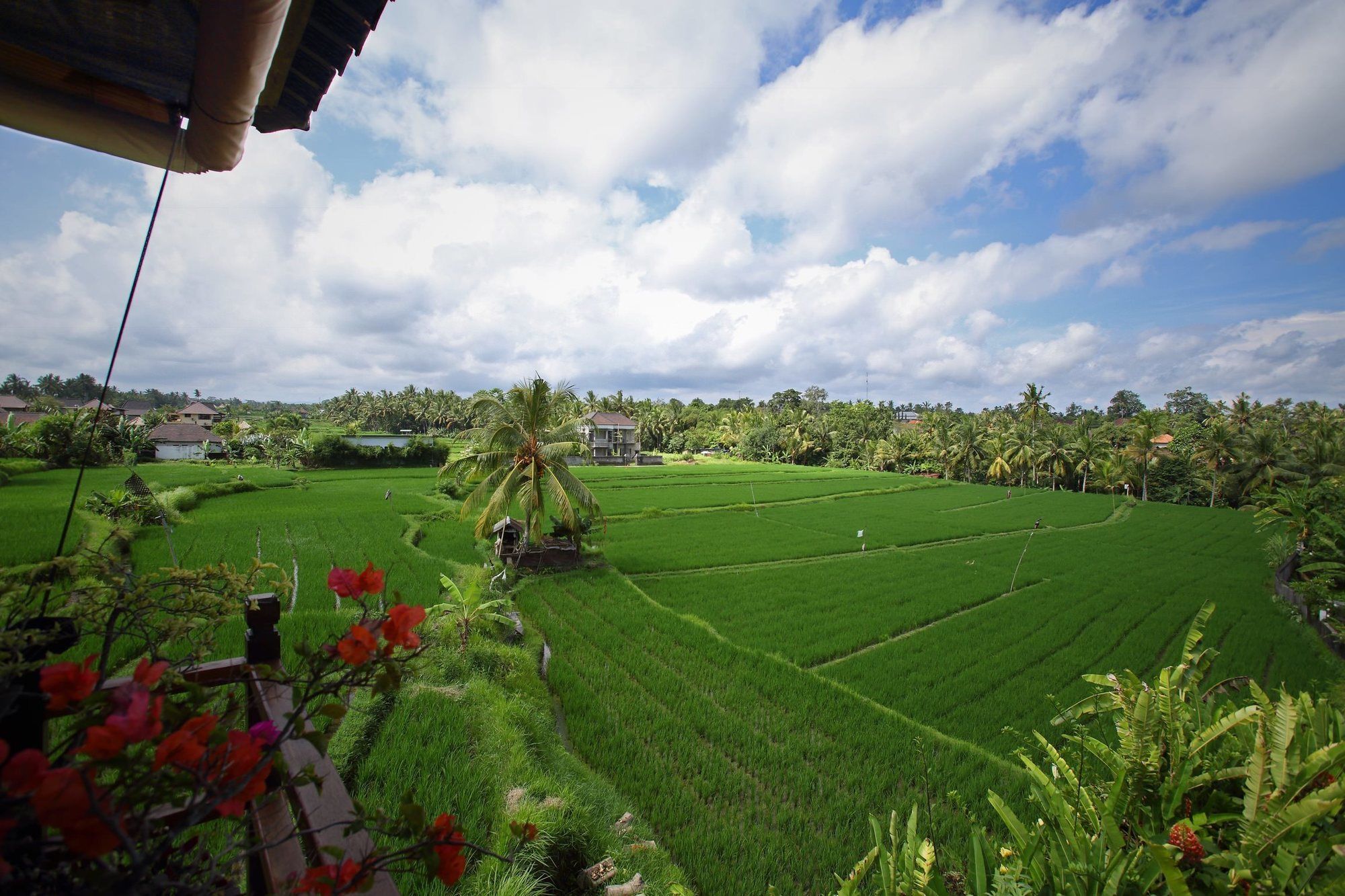 Satori Villas Bali Убуд Екстериор снимка